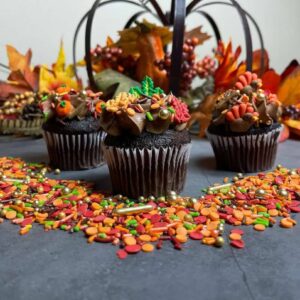 Chocolate Sprinkles Cupcakes